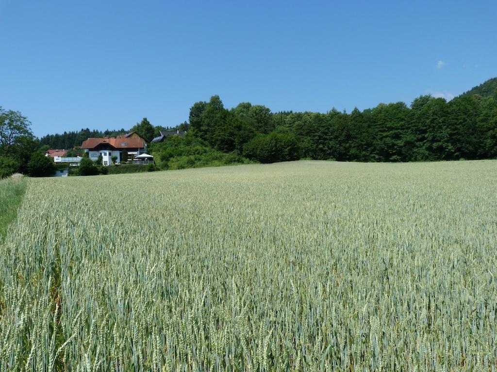 Ferienhaus Bluemel Inkl. Freier Strandbadeintritt 沃尔特湖畔韦尔登 外观 照片